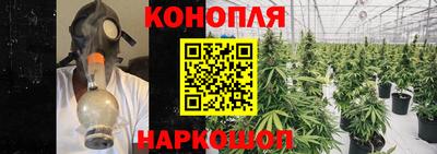 дмт Владикавказ