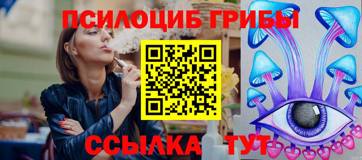 Галлюциногенные грибы Psilocybe Видное