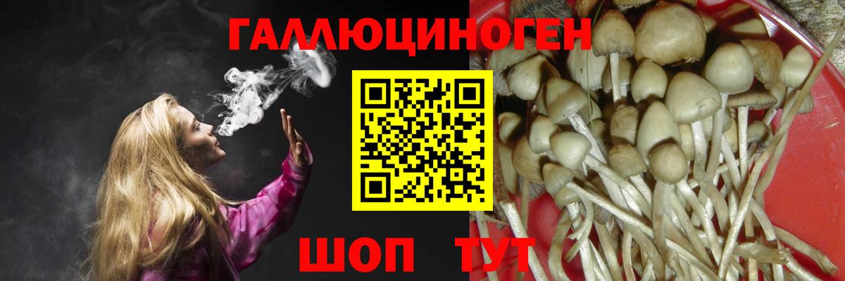 Псилоцибиновые грибы Psilocybe  Вход с VPN  Галлюциногенные грибы MAGIC MUSHROOMS  сколько стоит  Видное 